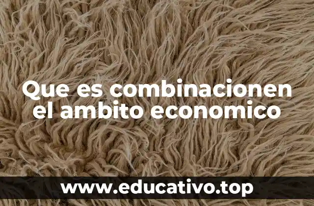 Que es combinacionen el ambito economico