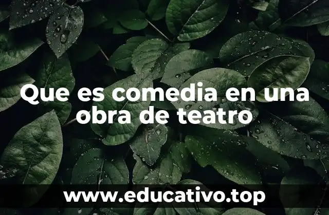 Que es comedia en una obra de teatro