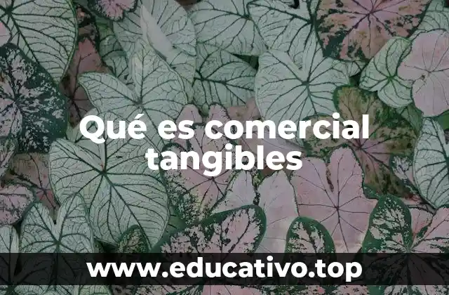 Qué es comercial tangibles