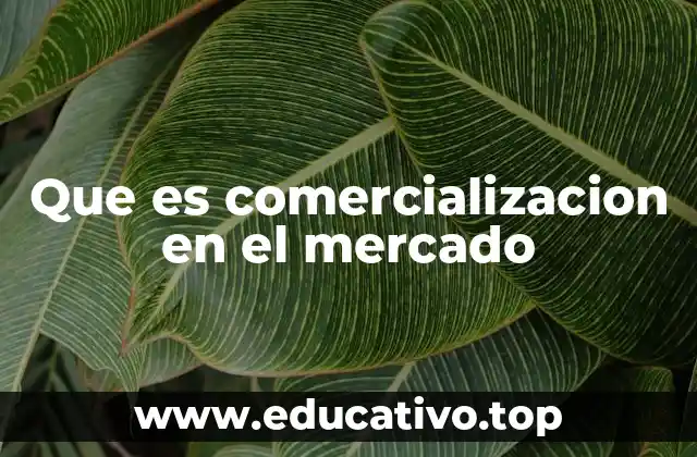 Que es comercializacion en el mercado