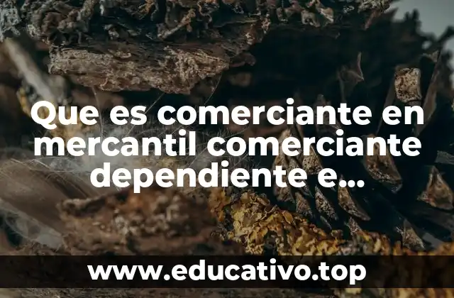 Que es comerciante en mercantil comerciante dependiente e independiente