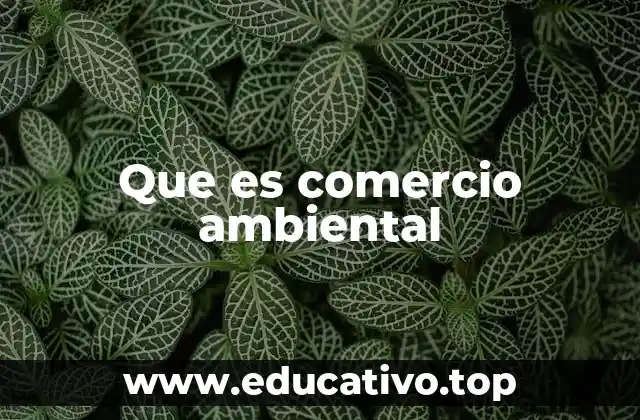 Que es comercio ambiental
