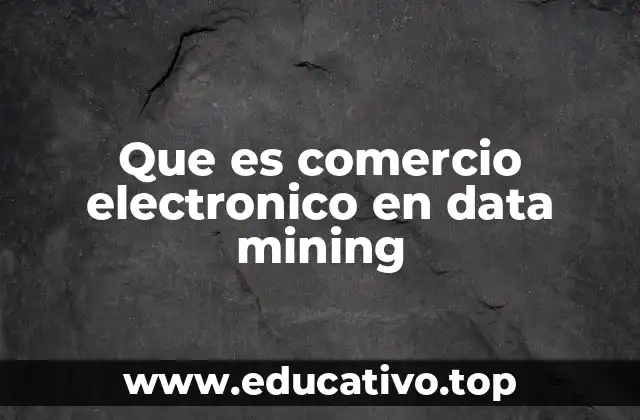 Que es comercio electronico en data mining