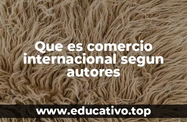 Que es comercio internacional segun autores