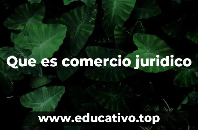 Que es comercio juridico