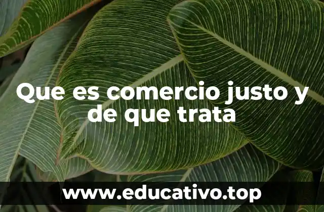 El comercio justo como alternativa a los modelos tradicionales