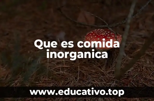 Que es comida inorganica