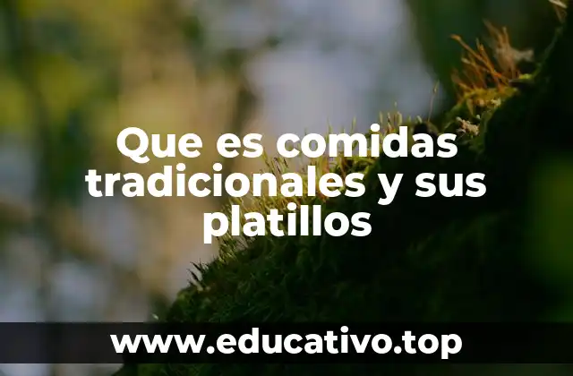 Que es comidas tradicionales y sus platillos