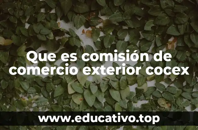 Que es comisión de comercio exterior cocex