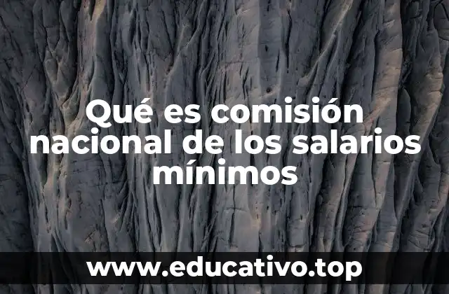Qué es comisión nacional de los salarios mínimos