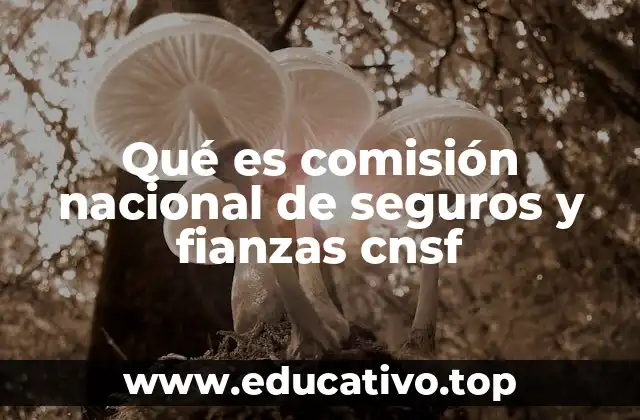 Qué es comisión nacional de seguros y fianzas cnsf