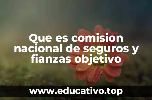 Que es comision nacional de seguros y fianzas objetivo