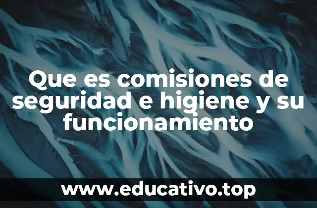 Que es comisiones de seguridad e higiene y su funcionamiento