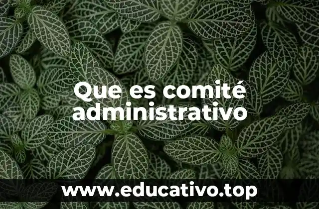 Que es comité administrativo