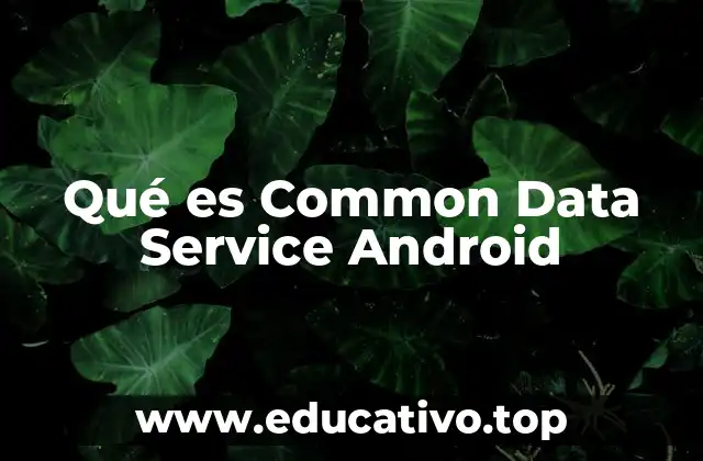 Qué es Common Data Service Android