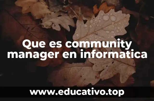Que es community manager en informatica