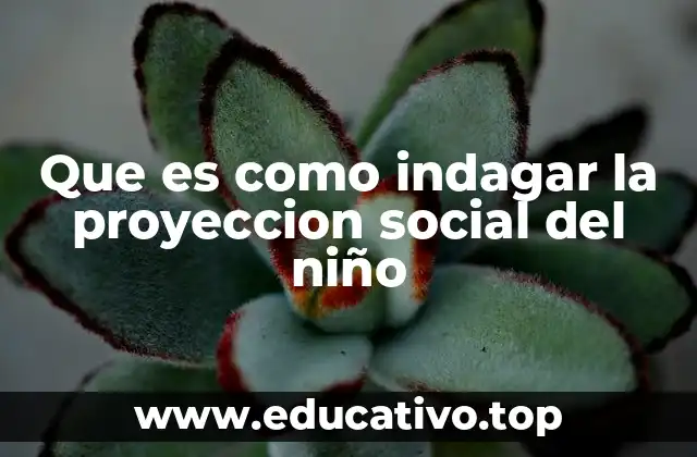 Que es como indagar la proyeccion social del niño