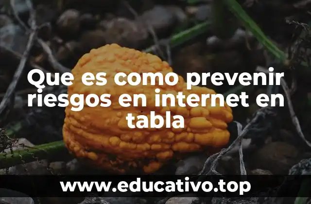 Que es como prevenir riesgos en internet en tabla
