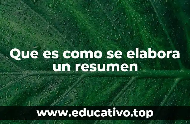 Que es como se elabora un resumen