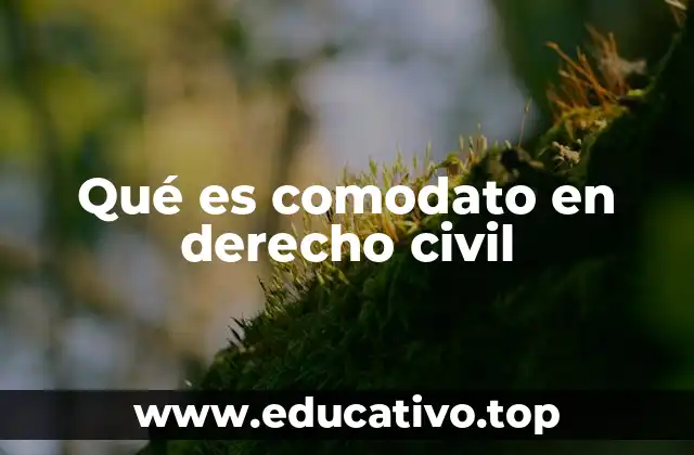 Qué es comodato en derecho civil