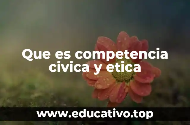 Que es competencia civica y etica