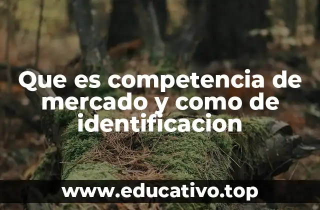 Que es competencia de mercado y como de identificacion