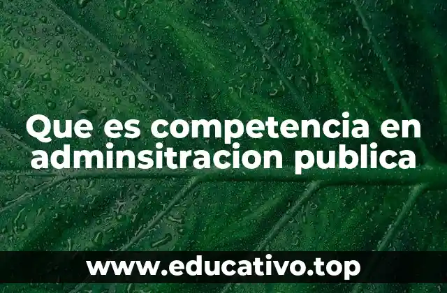 La importancia de la delimitación de competencias en la administración pública