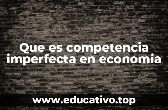 Que es competencia imperfecta en economia