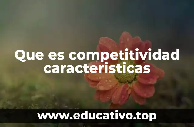 Que es competitividad caracteristicas