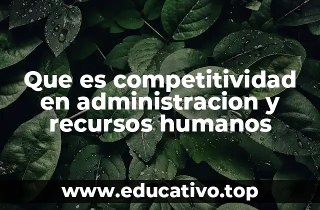 Que es competitividad en administracion y recursos humanos
