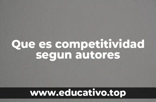 Que es competitividad segun autores