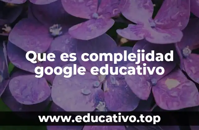 Que es complejidad google educativo