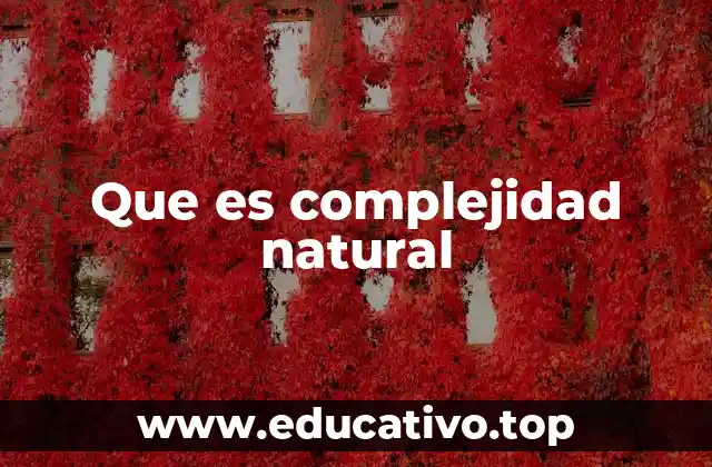 Que es complejidad natural