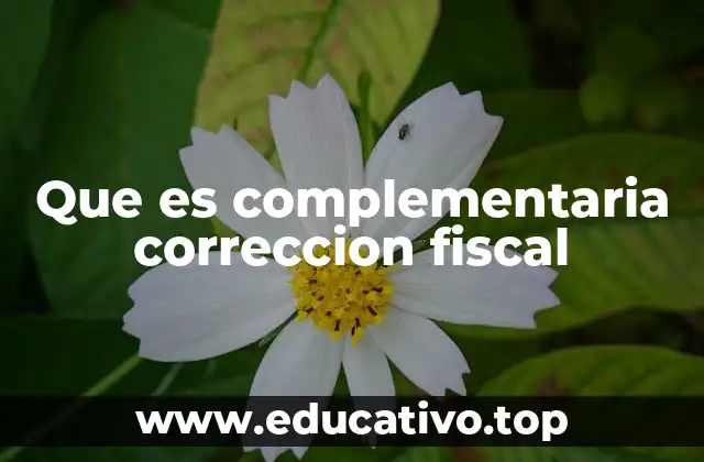 Que es complementaria correccion fiscal
