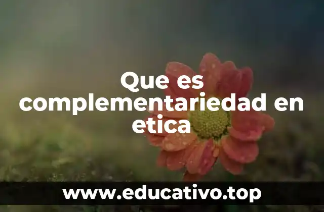 Que es complementariedad en etica