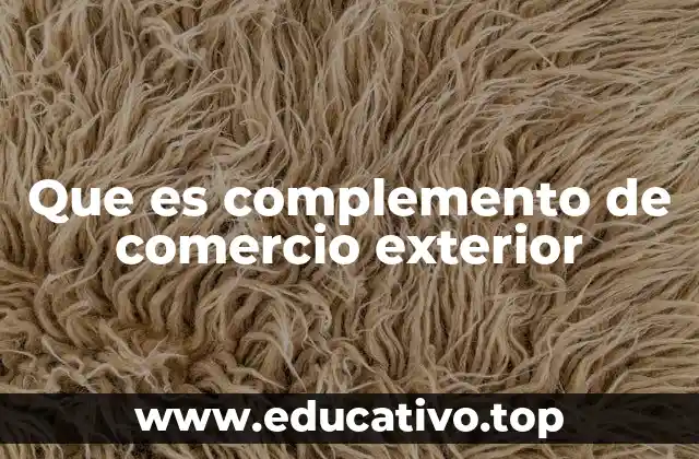 Que es complemento de comercio exterior