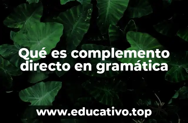 Qué es complemento directo en gramática