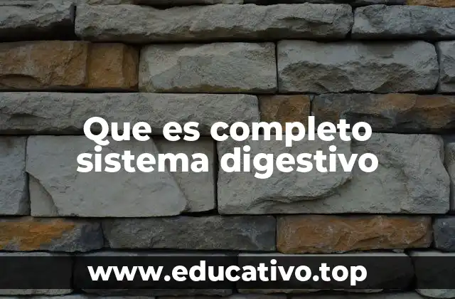 Que es completo sistema digestivo