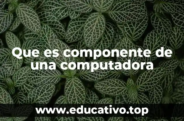 Que es componente de una computadora