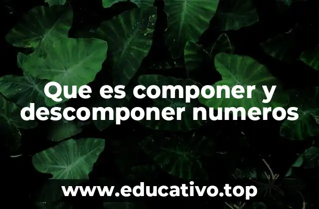 La importancia de entender la estructura de los números