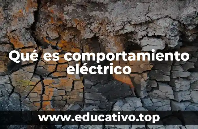 Qué es comportamiento eléctrico