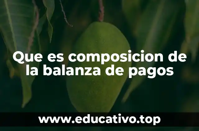 Que es composicion de la balanza de pagos