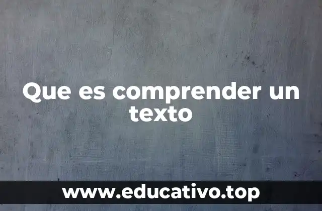 Que es comprender un texto