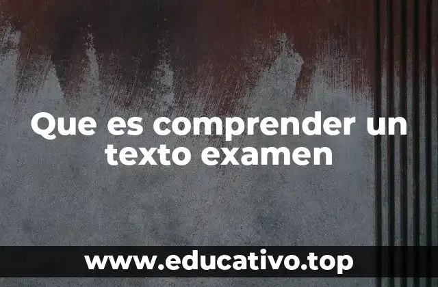 Que es comprender un texto examen