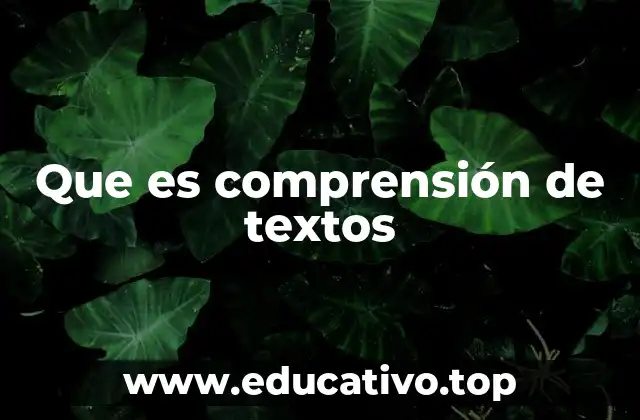 Que es comprensión de textos