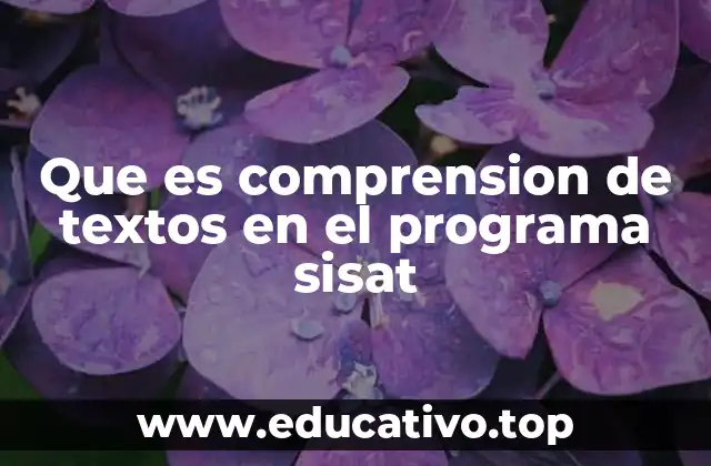 Que es comprension de textos en el programa sisat
