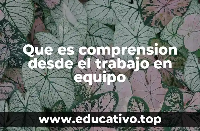 Que es comprension desde el trabajo en equipo