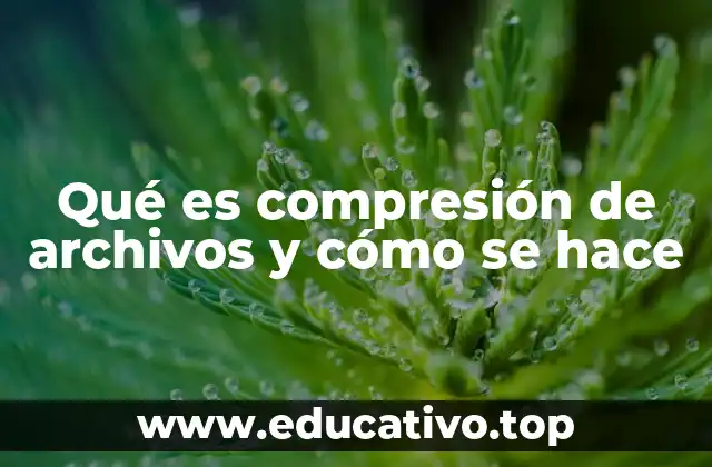 Qué es compresión de archivos y cómo se hace