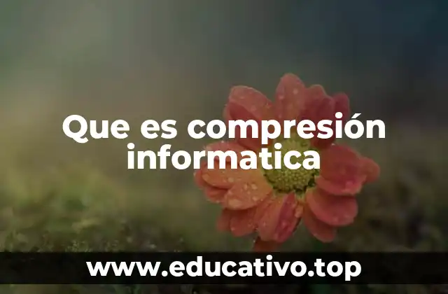 Que es compresión informatica