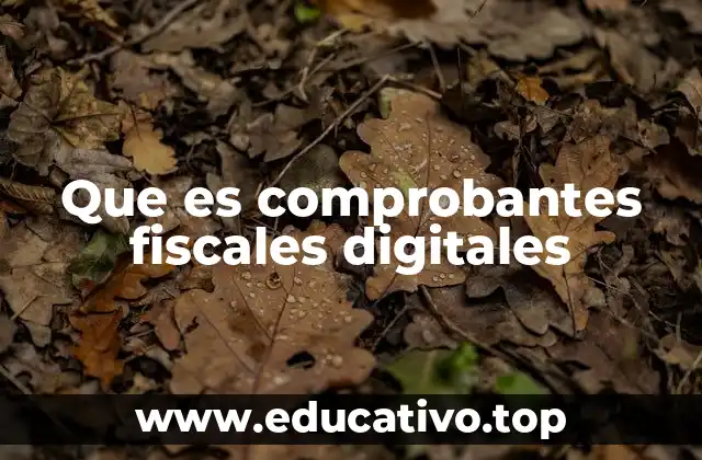 Que es comprobantes fiscales digitales